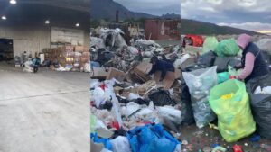 Dia del Reciclaje